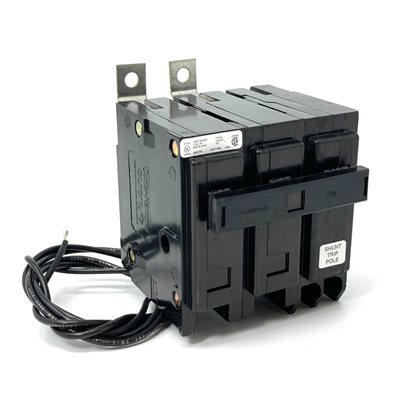 EATON BAB2100S 100A 120 / 240V 2 POLE SHUNT (120 / 208 / 240V)